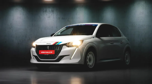 Подивіться на ралійний Peugeot 208 від швейцарського дилера бренду (фото)